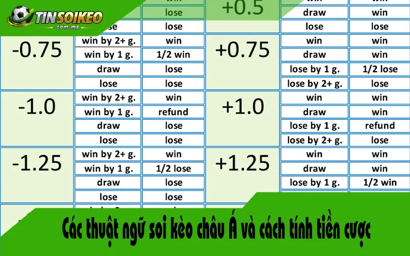 Các thuật ngữ soi kèo châu Á và cách tính tiền cược