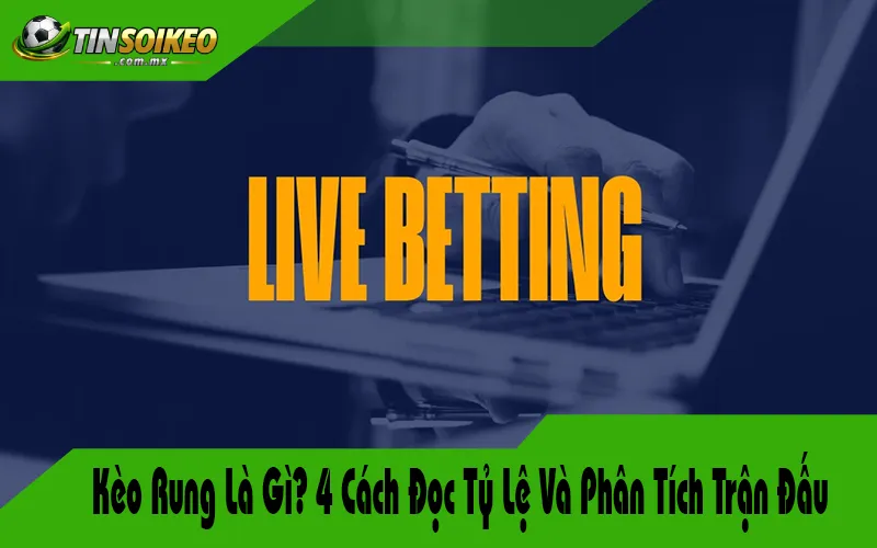 Kèo Rung Là Gì? 4 Cách Đọc Tỷ Lệ Và Phân Tích Trận Đấu
