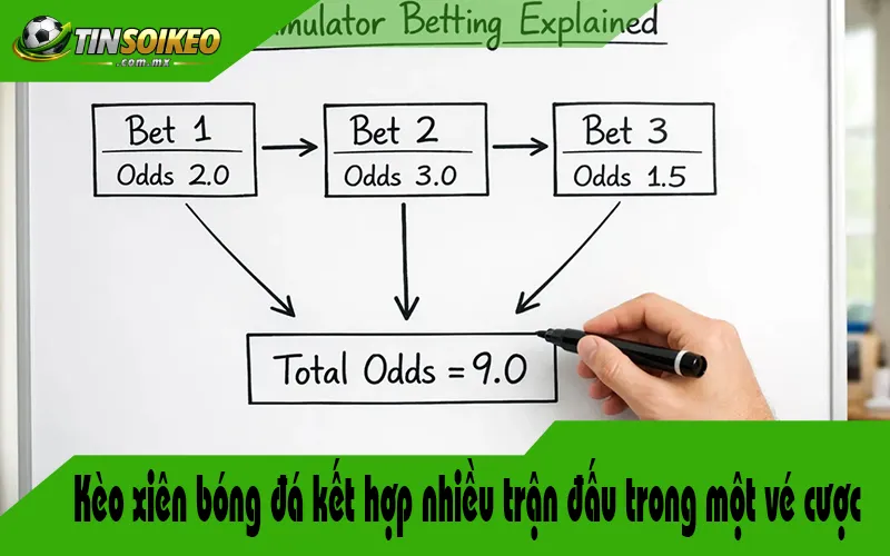 Kèo xiên bóng đá kết hợp nhiều trận đấu trong một vé cược