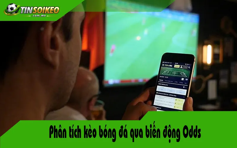 Phân tích kèo bóng đá qua biến động Odds