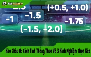 Kèo Châu Á: Cách Tính Thắng Thua Và 3 Kinh Nghiệm Chọn Kèo